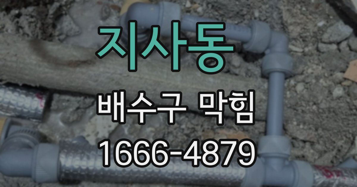 지사동 배수구 막힘