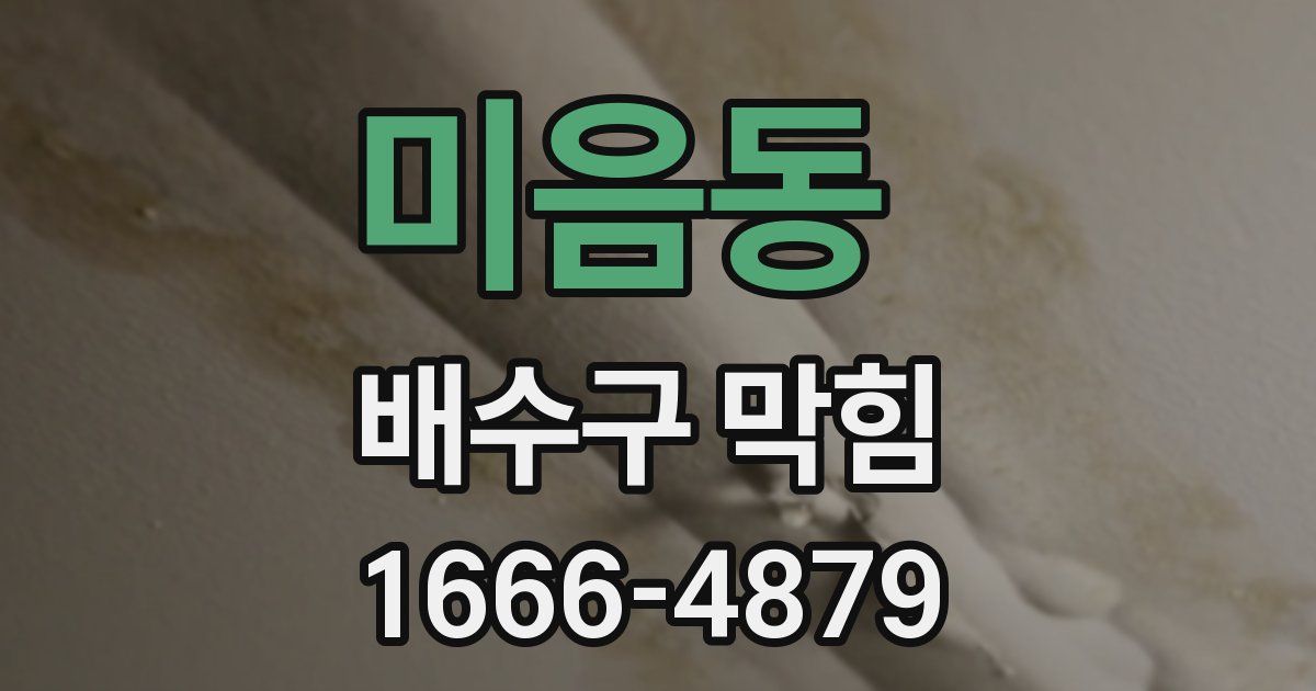 미음동 배수구 막힘