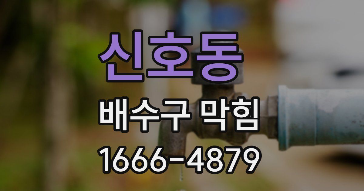 신호동 배수구 막힘