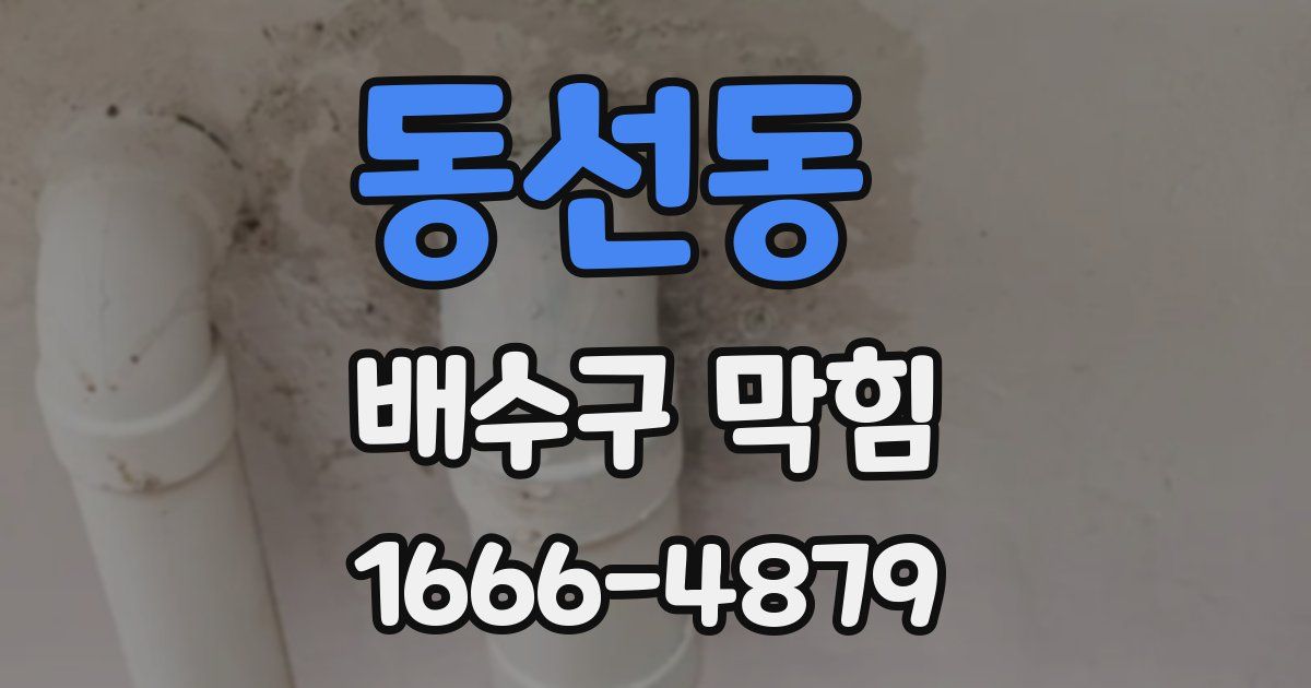 동선동 배수구 막힘