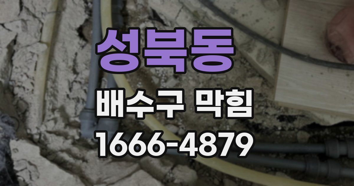 성북동 배수구 막힘