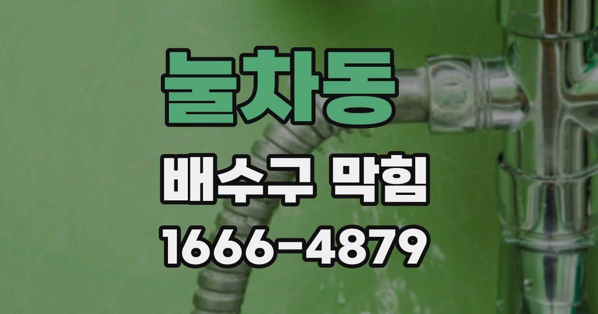 눌차동 배수구 막힘