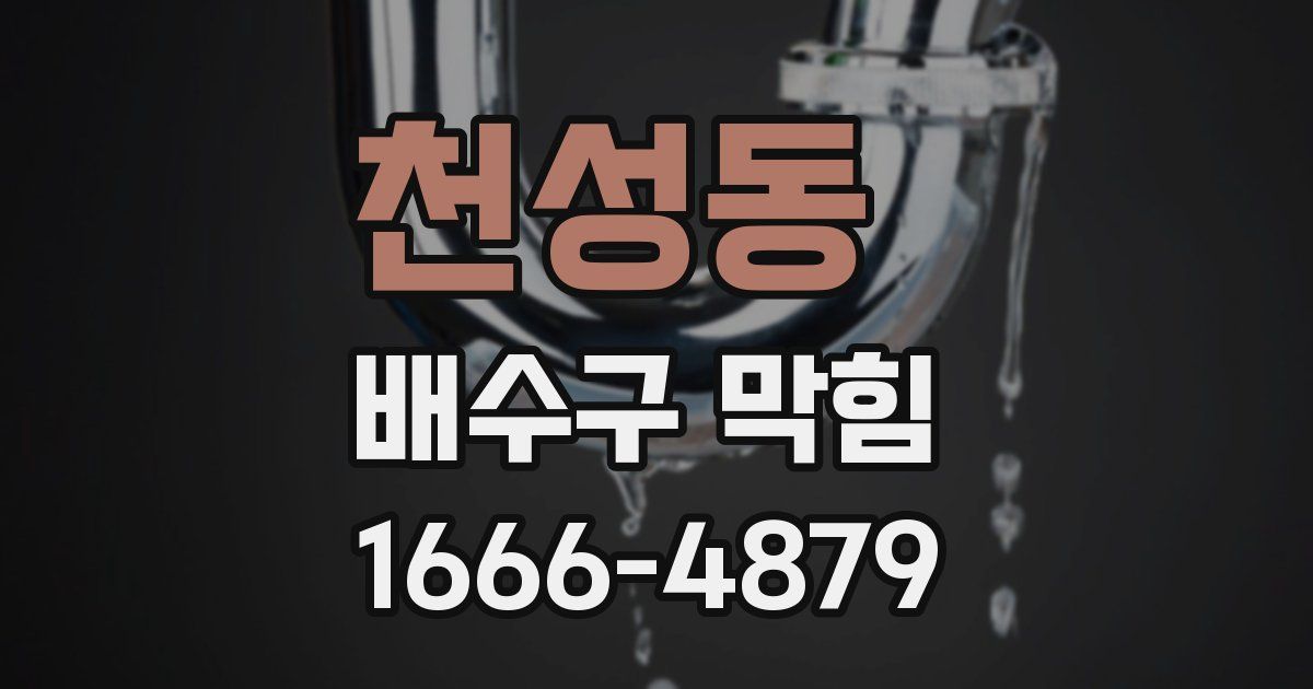 천성동 배수구 막힘
