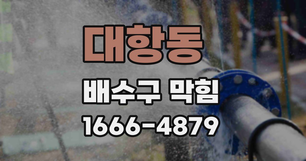 대항동 배수구 막힘