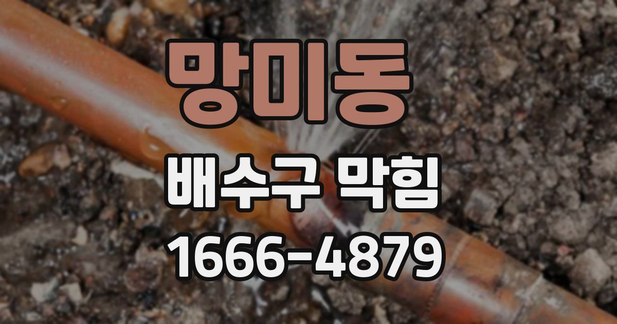 망미동 배수구 막힘