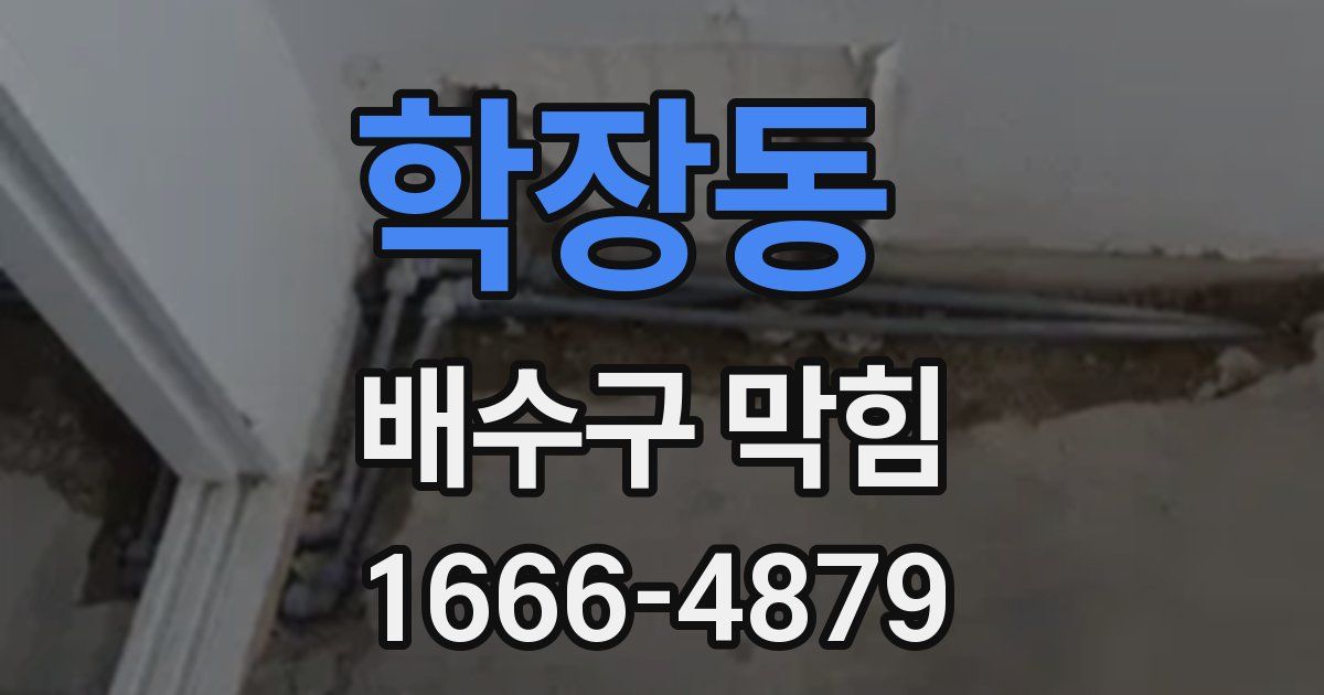 학장동 배수구 막힘