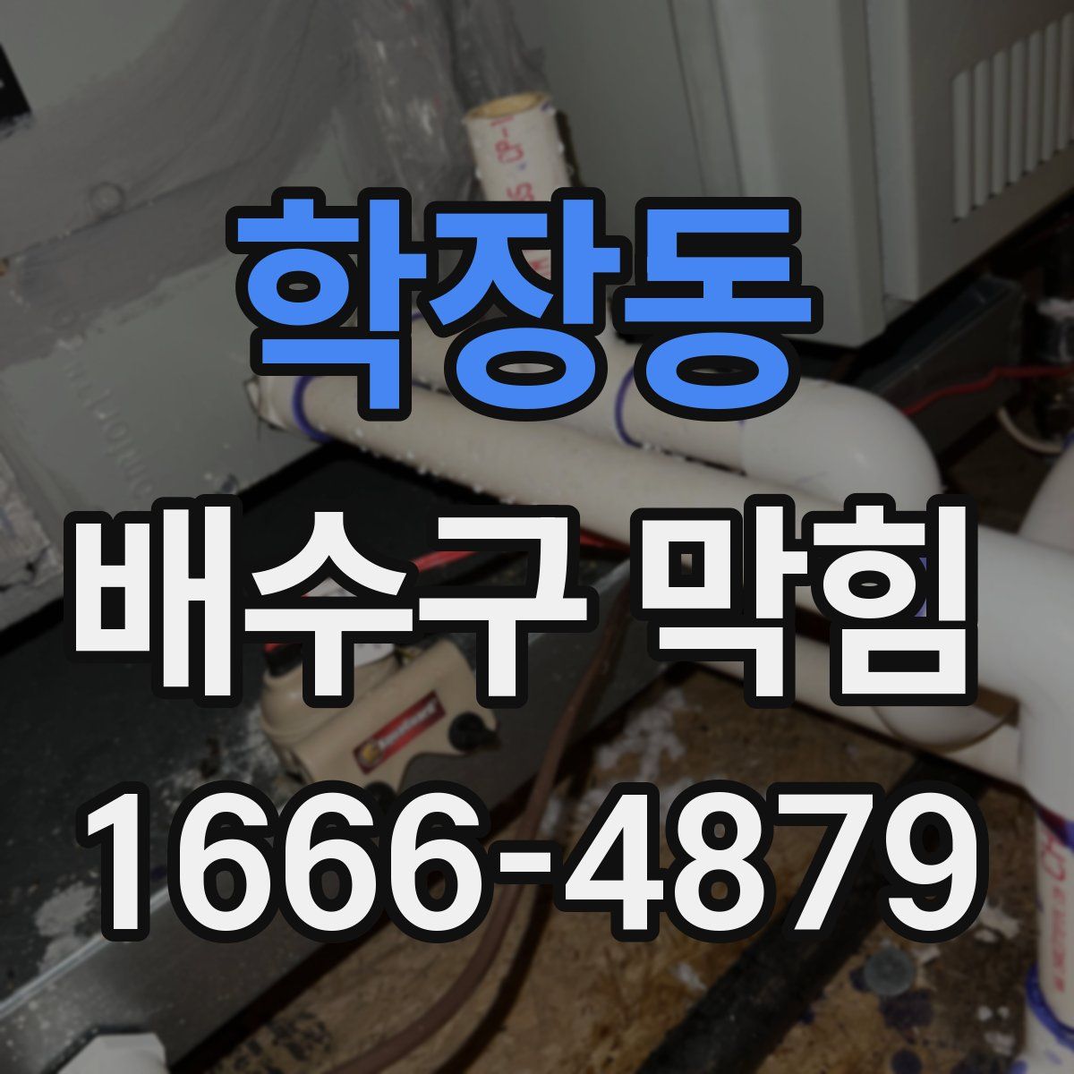 학장동 배수구 막힘