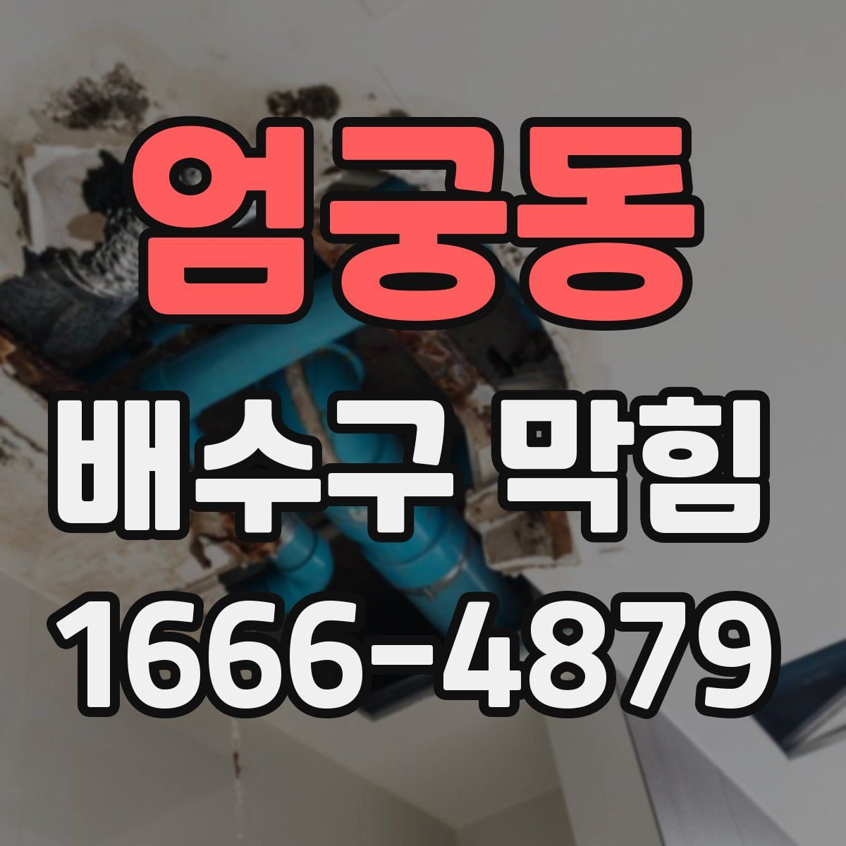 엄궁동 배수구 막힘