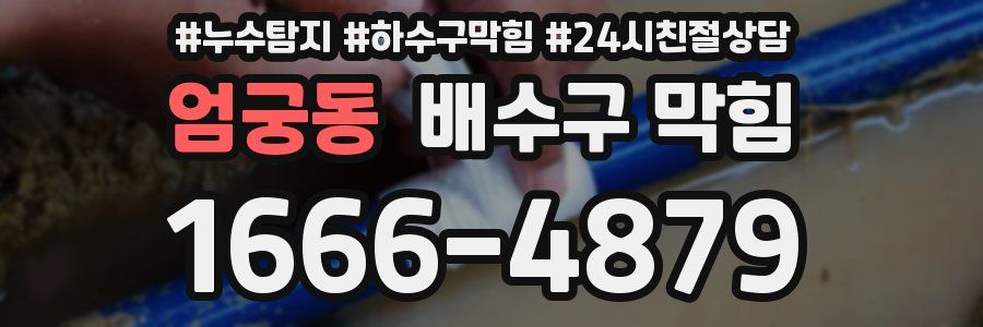 엄궁동 배수구 막힘