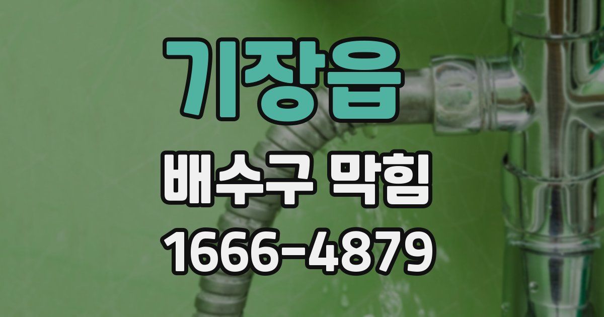 기장읍 배수구 막힘