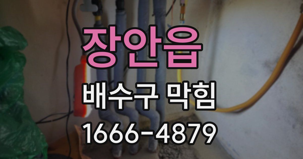 장안읍 배수구 막힘