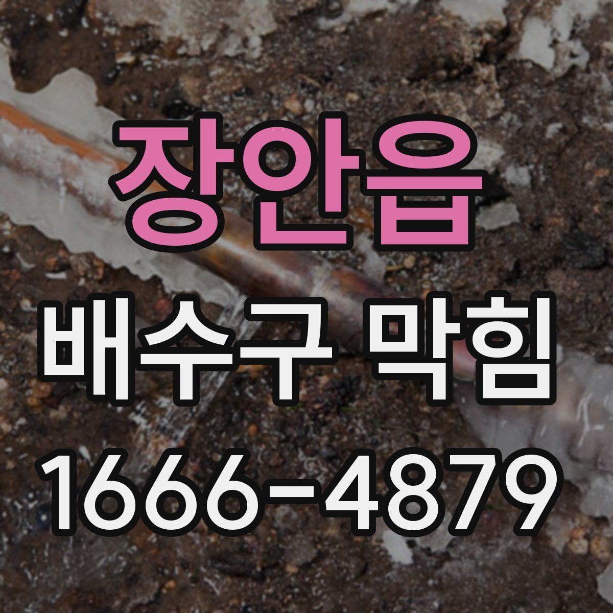 장안읍 배수구 막힘