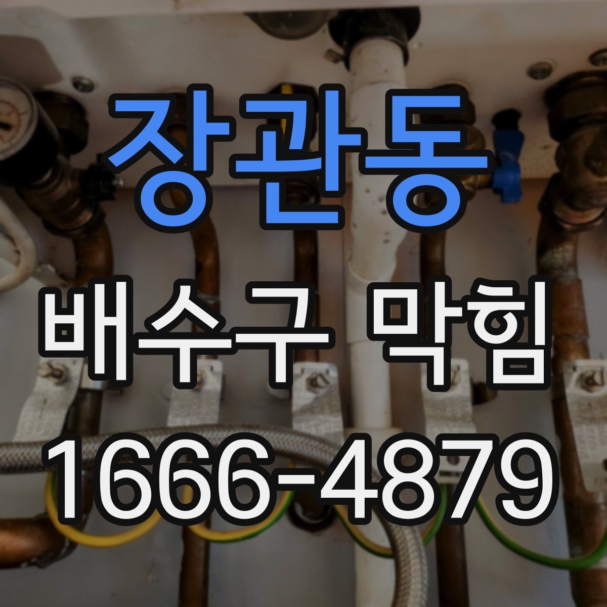 장관동 배수구 막힘