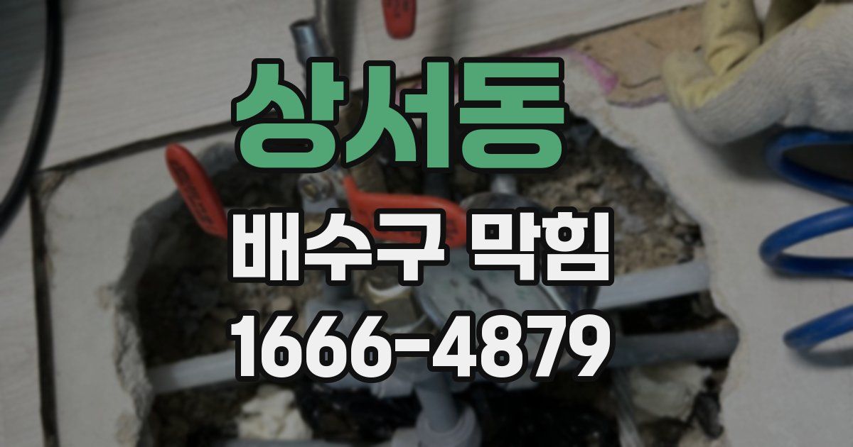 상서동 배수구 막힘