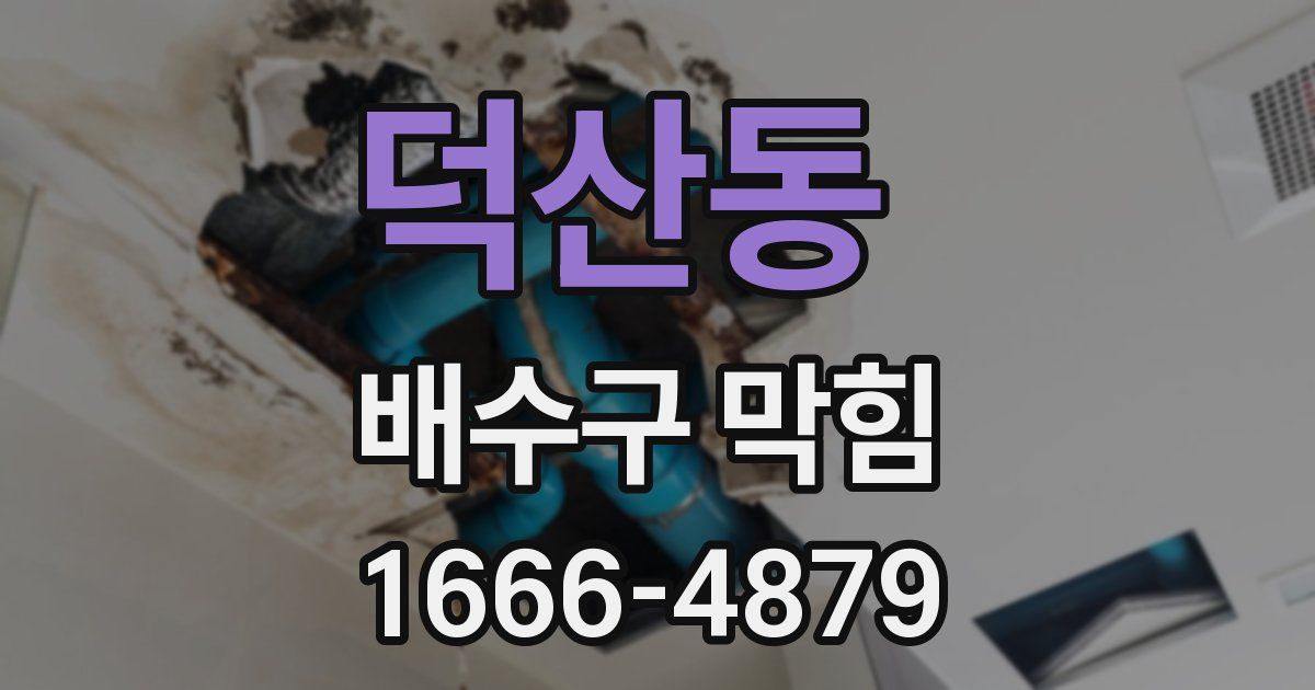 덕산동 배수구 막힘
