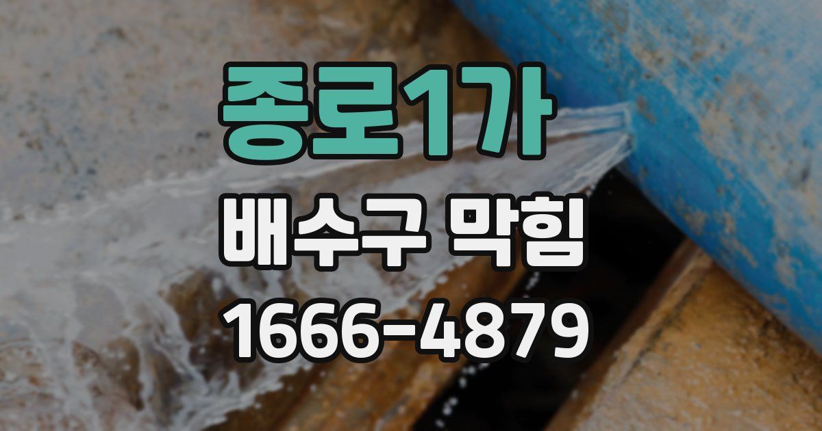 종로1가 배수구 막힘