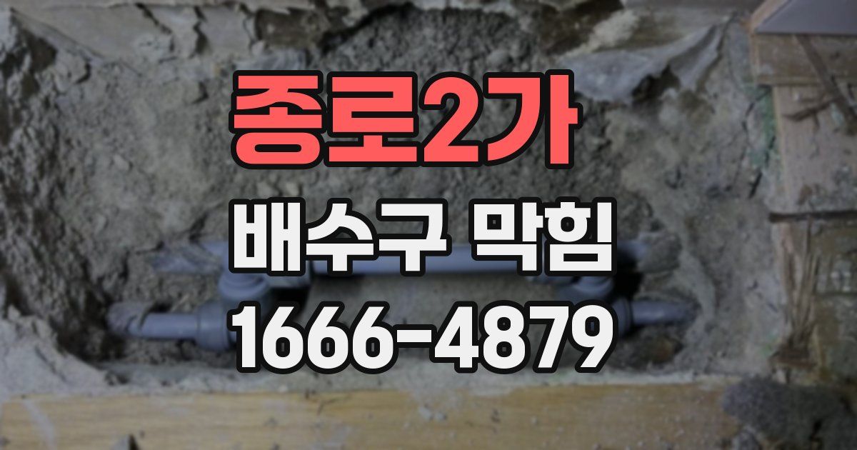 종로2가 배수구 막힘