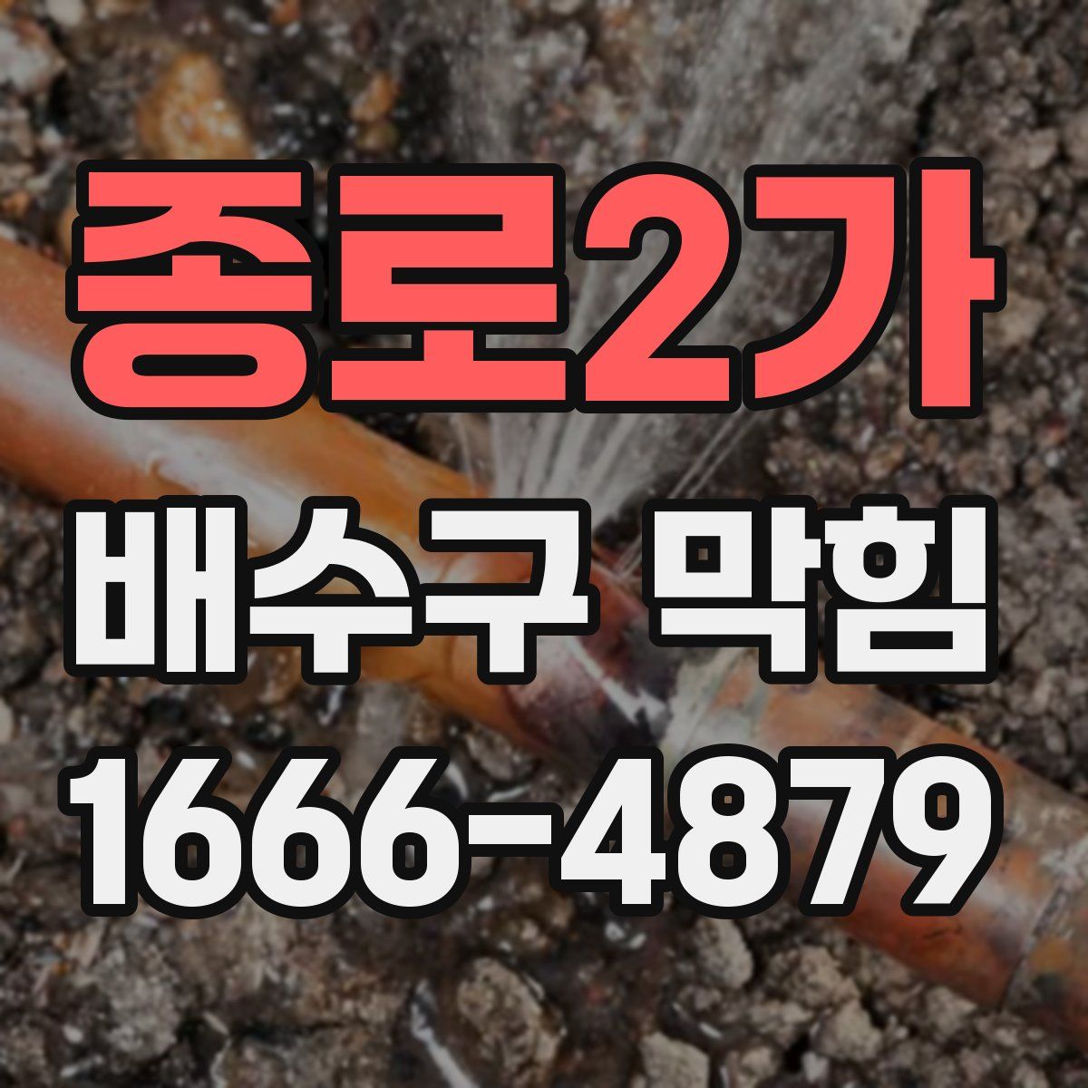 종로2가 배수구 막힘