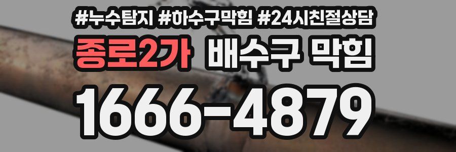 종로2가 배수구 막힘