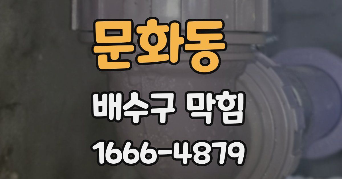 문화동 배수구 막힘