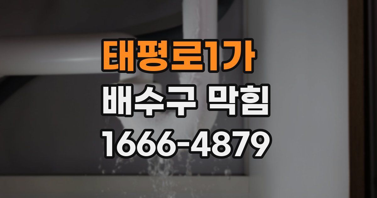태평로1가 배수구 막힘