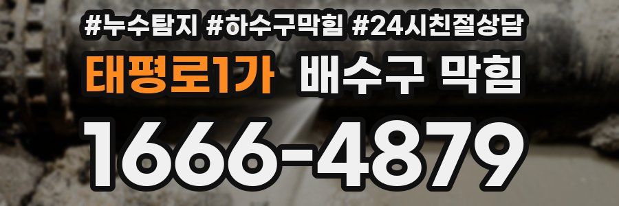 태평로1가 배수구 막힘