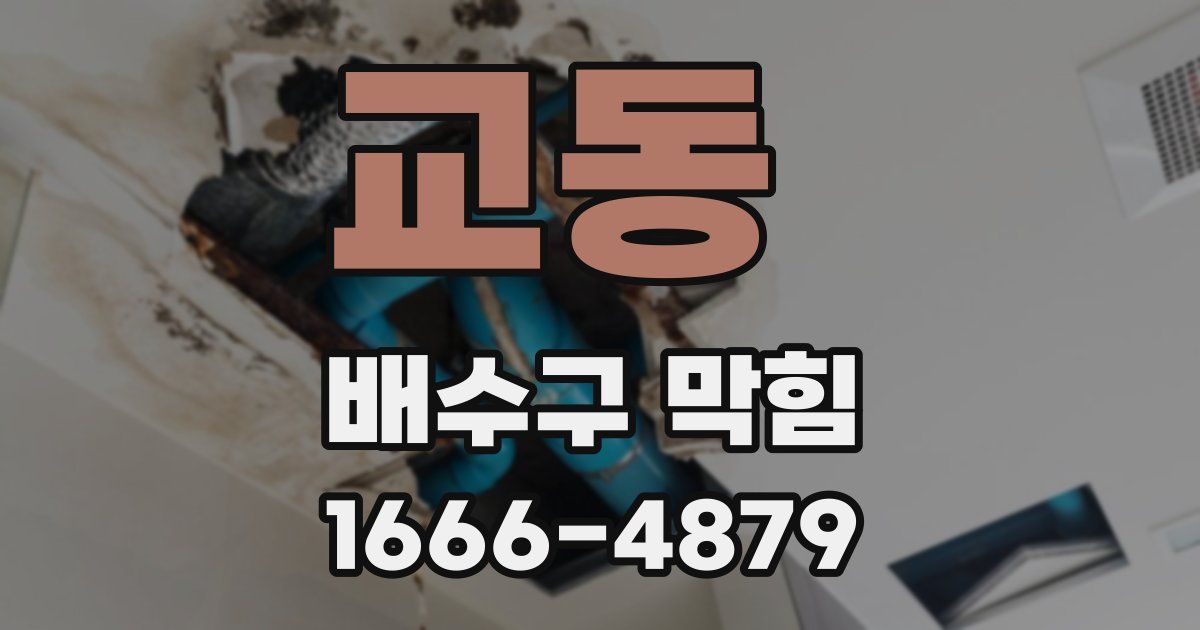교동 배수구 막힘