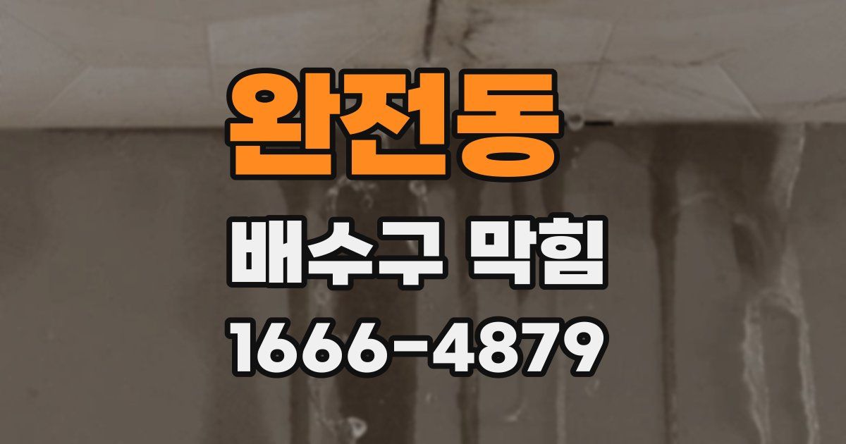 완전동 배수구 막힘