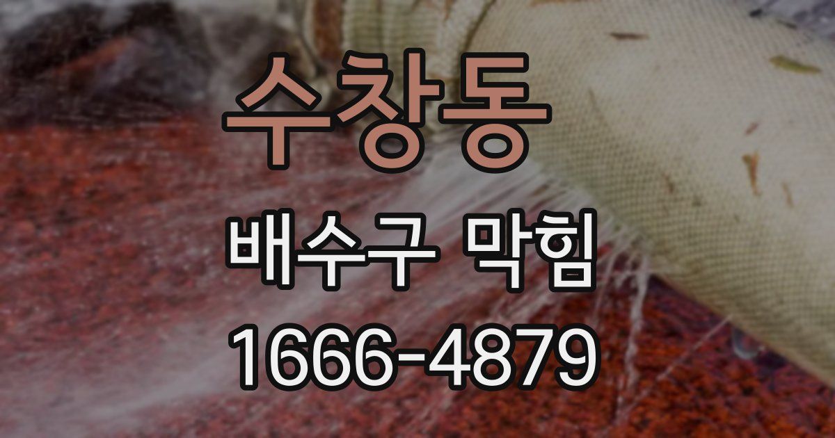 수창동 배수구 막힘