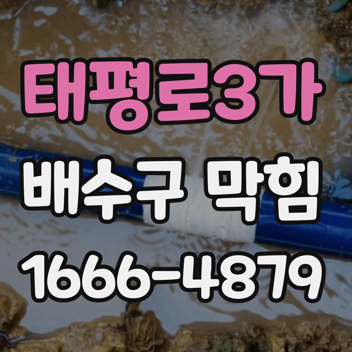 태평로3가 배수구 막힘