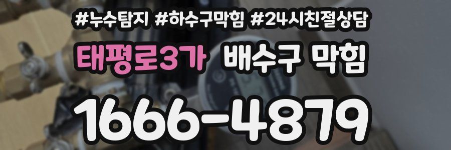 태평로3가 배수구 막힘