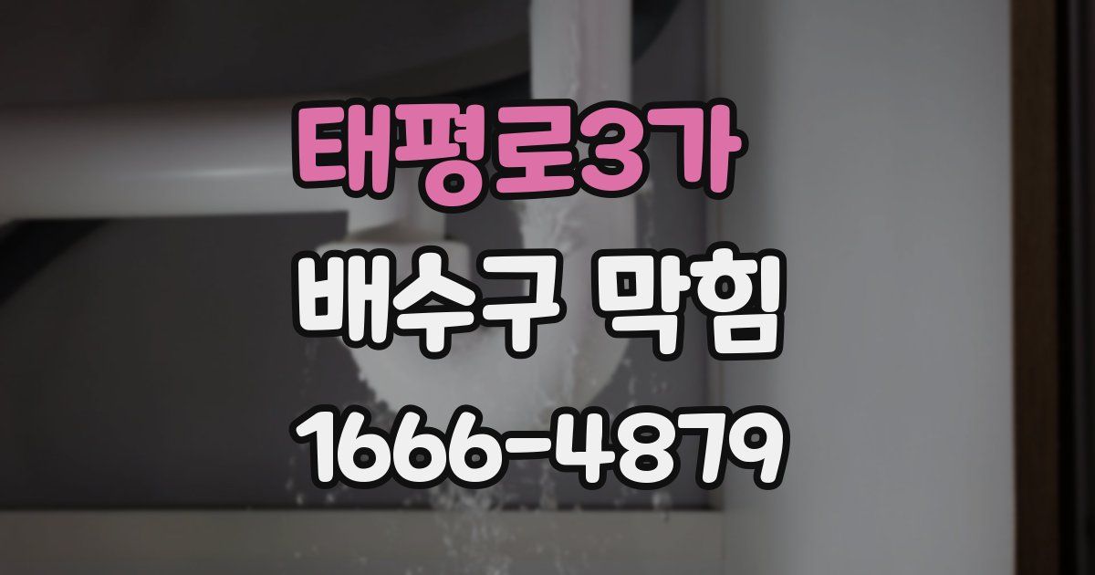 태평로3가 배수구 막힘