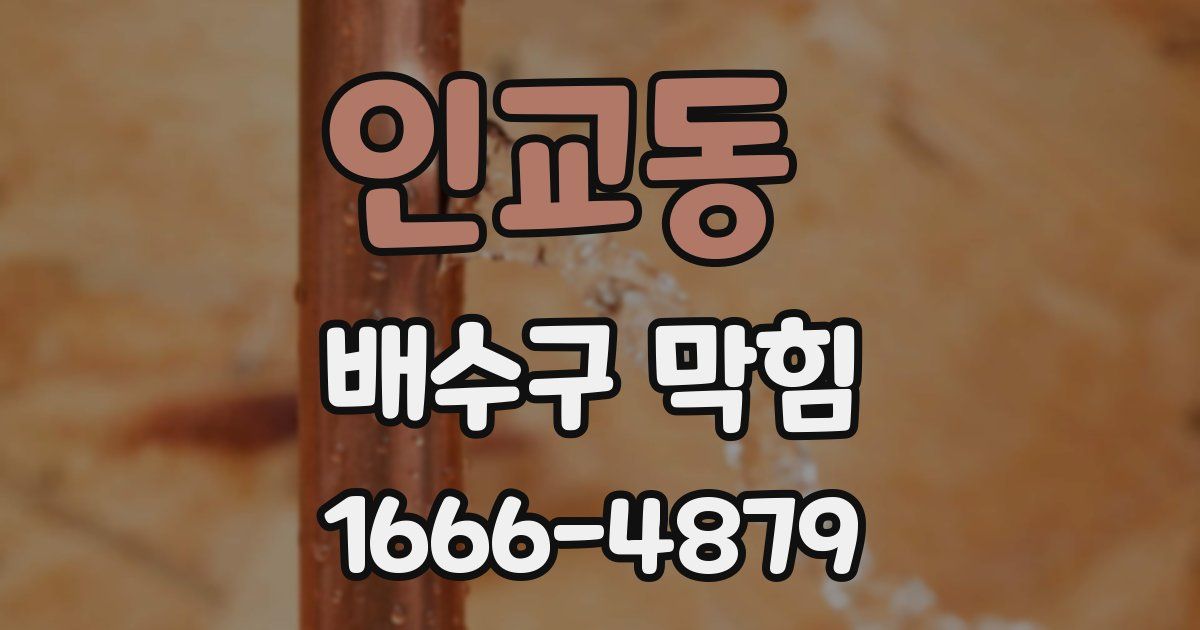 인교동 배수구 막힘