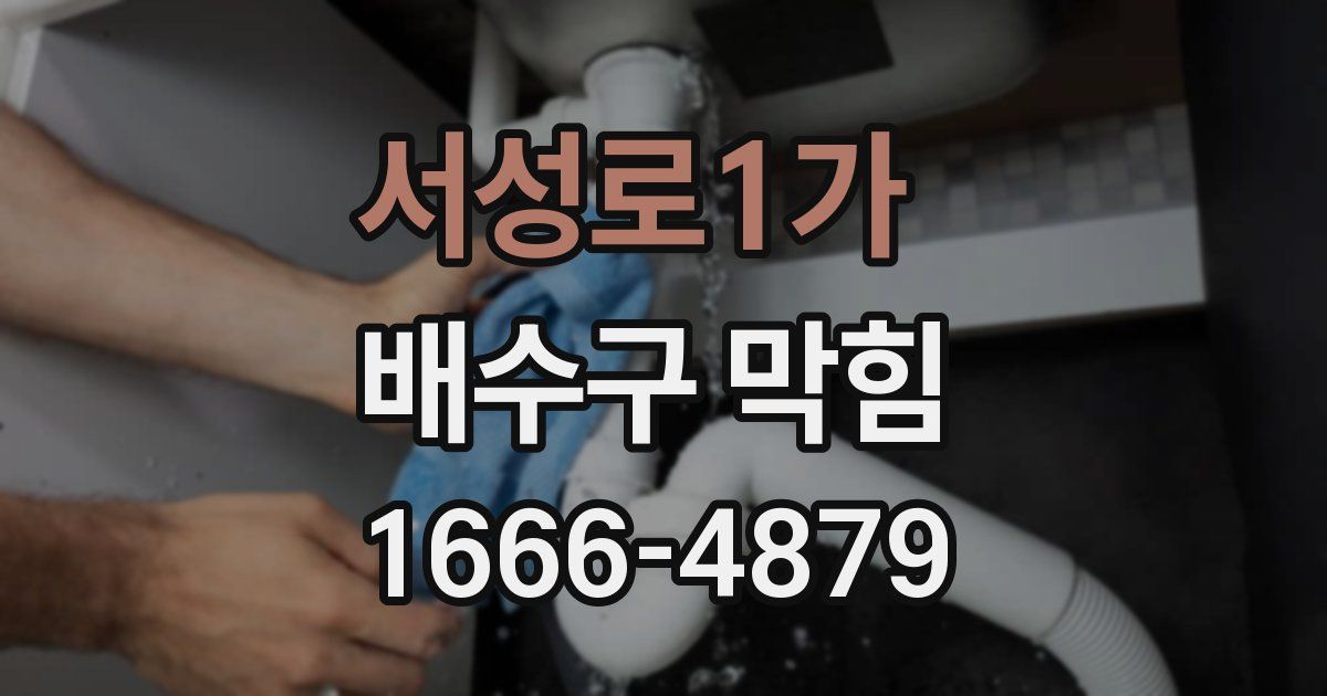 서성로1가 배수구 막힘