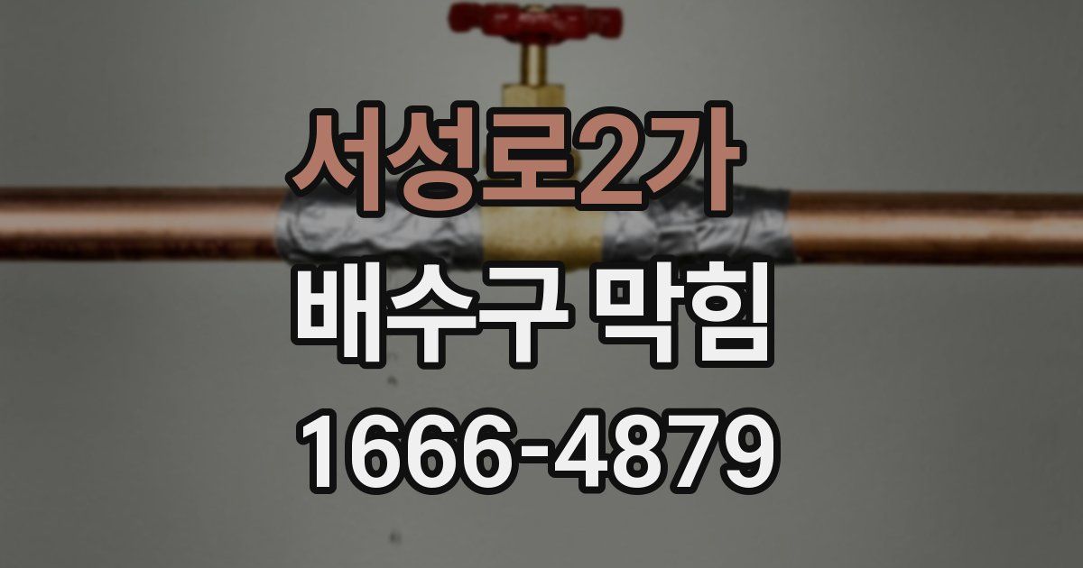 서성로2가 배수구 막힘