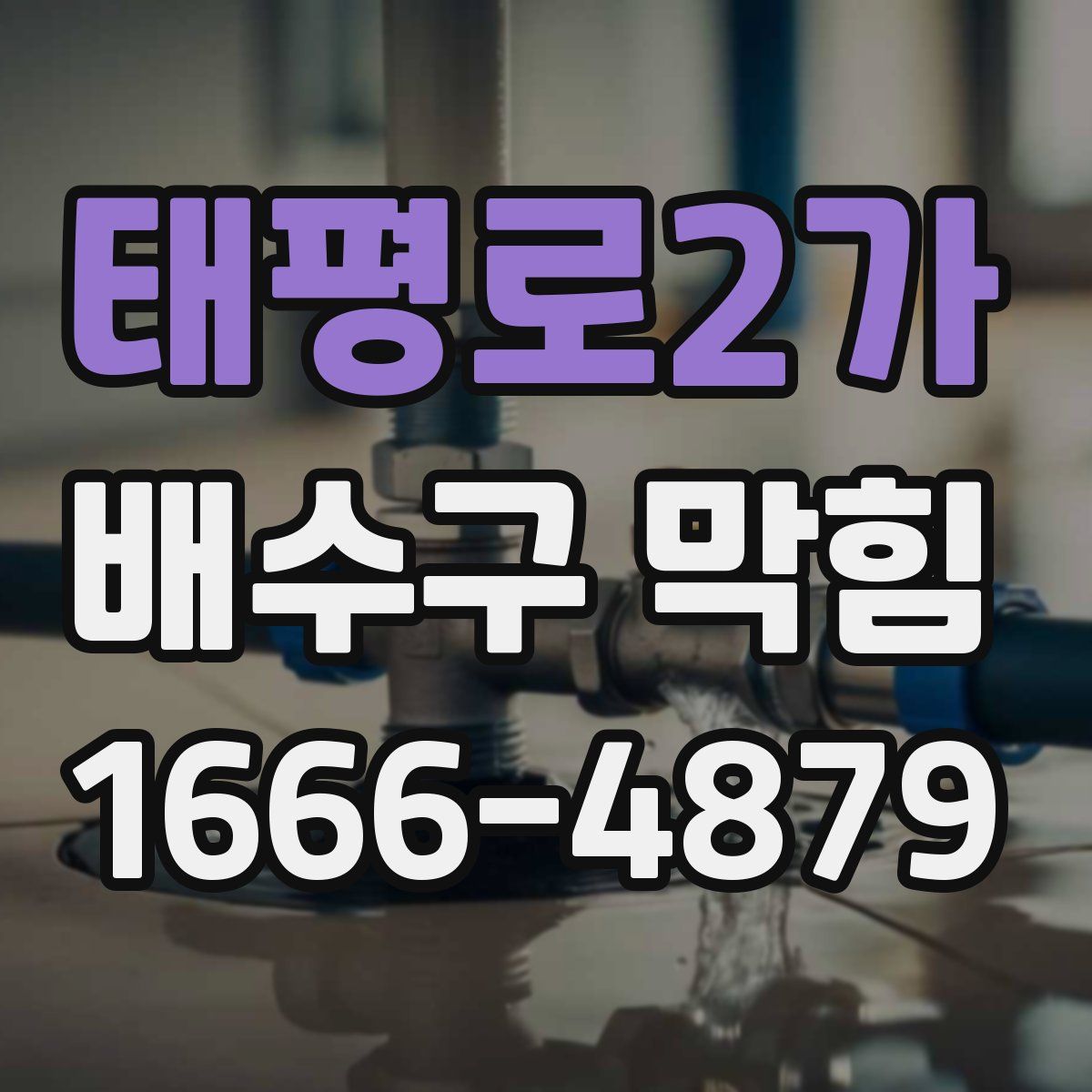 태평로2가 배수구 막힘