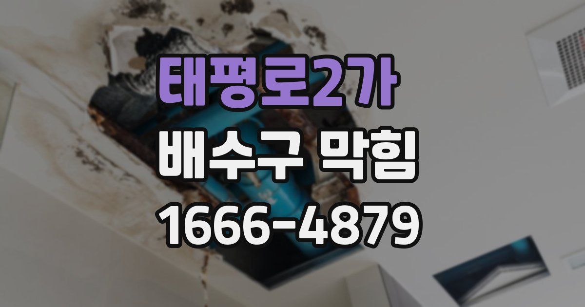 태평로2가 배수구 막힘