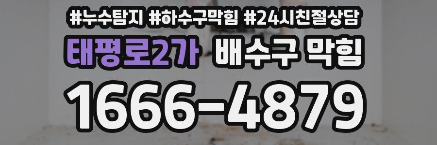 태평로2가 배수구 막힘