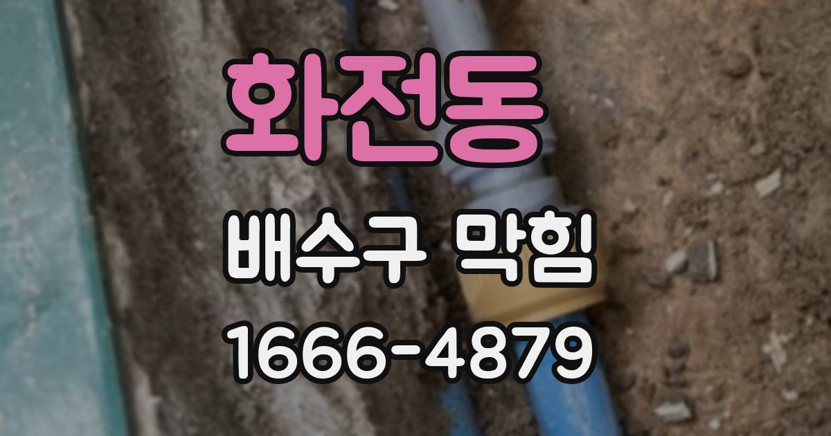 화전동 배수구 막힘