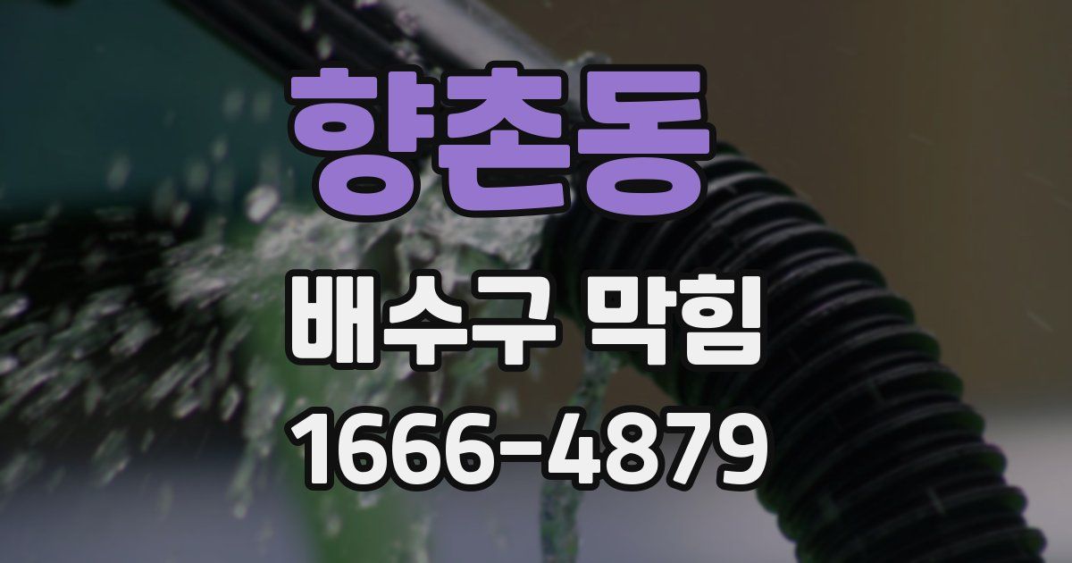 향촌동 배수구 막힘