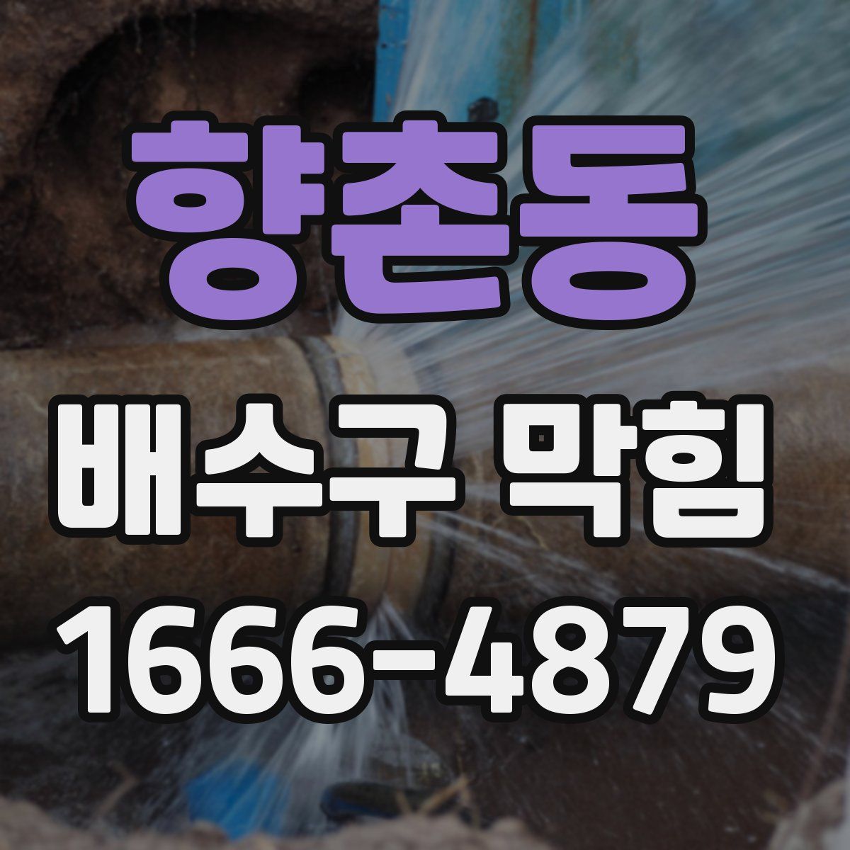 향촌동 배수구 막힘