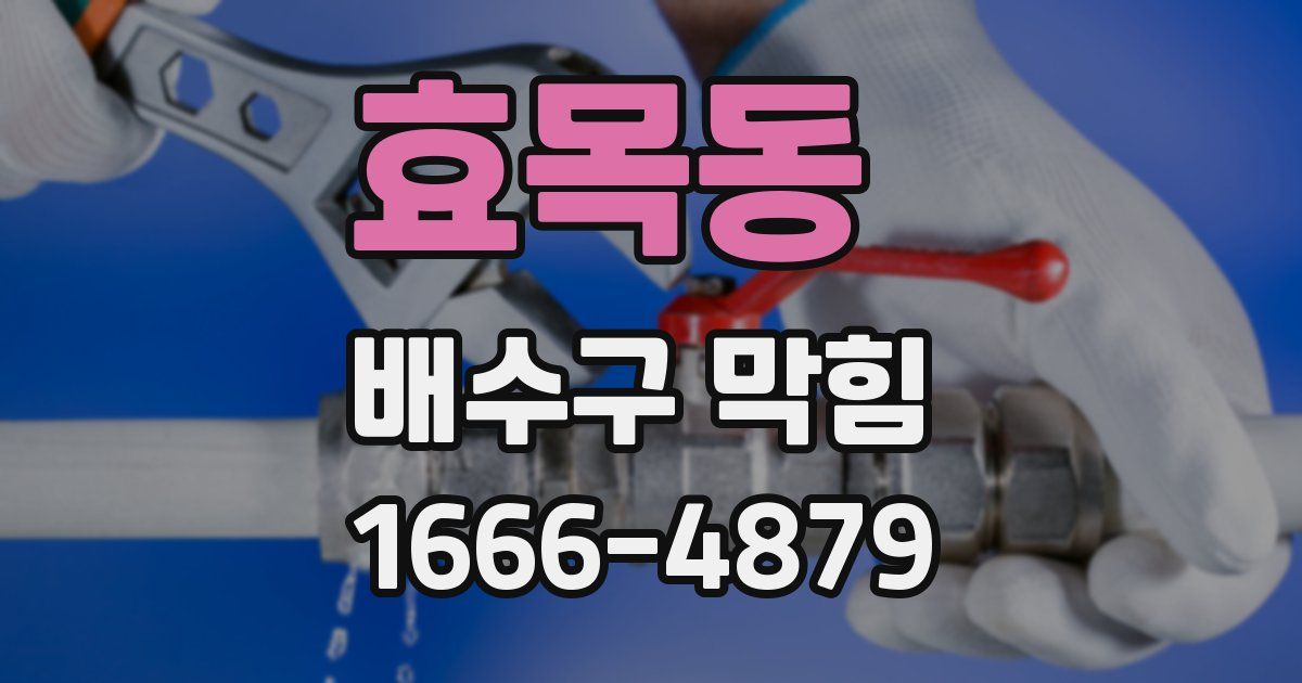 효목동 배수구 막힘