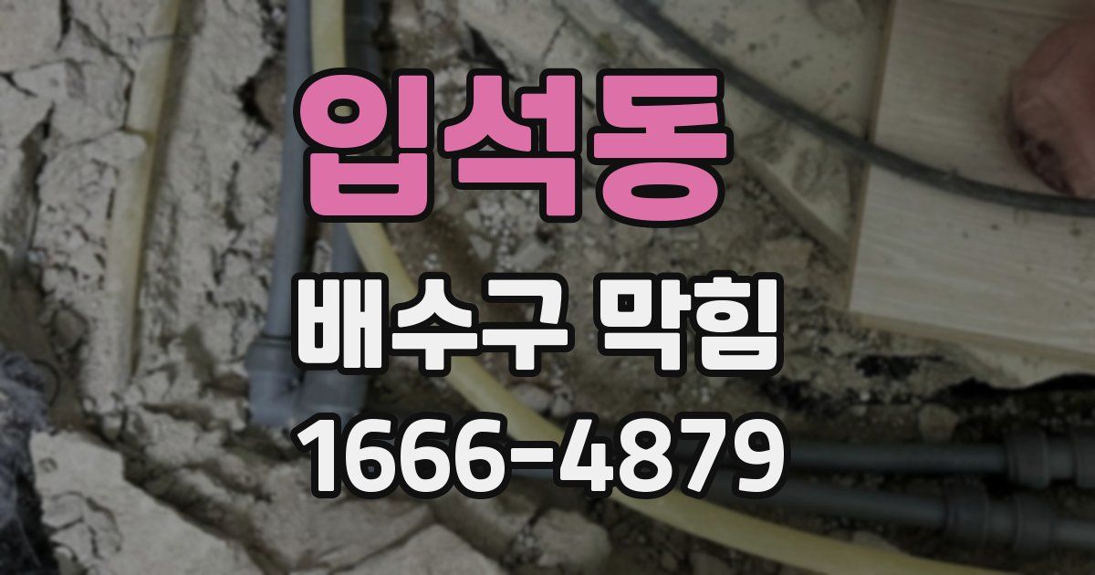 입석동 배수구 막힘