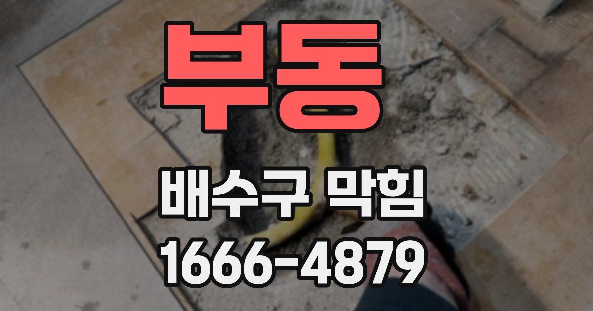 부동 배수구 막힘