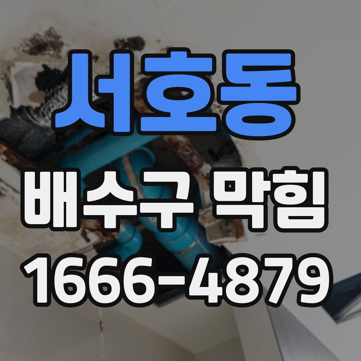 서호동 배수구 막힘