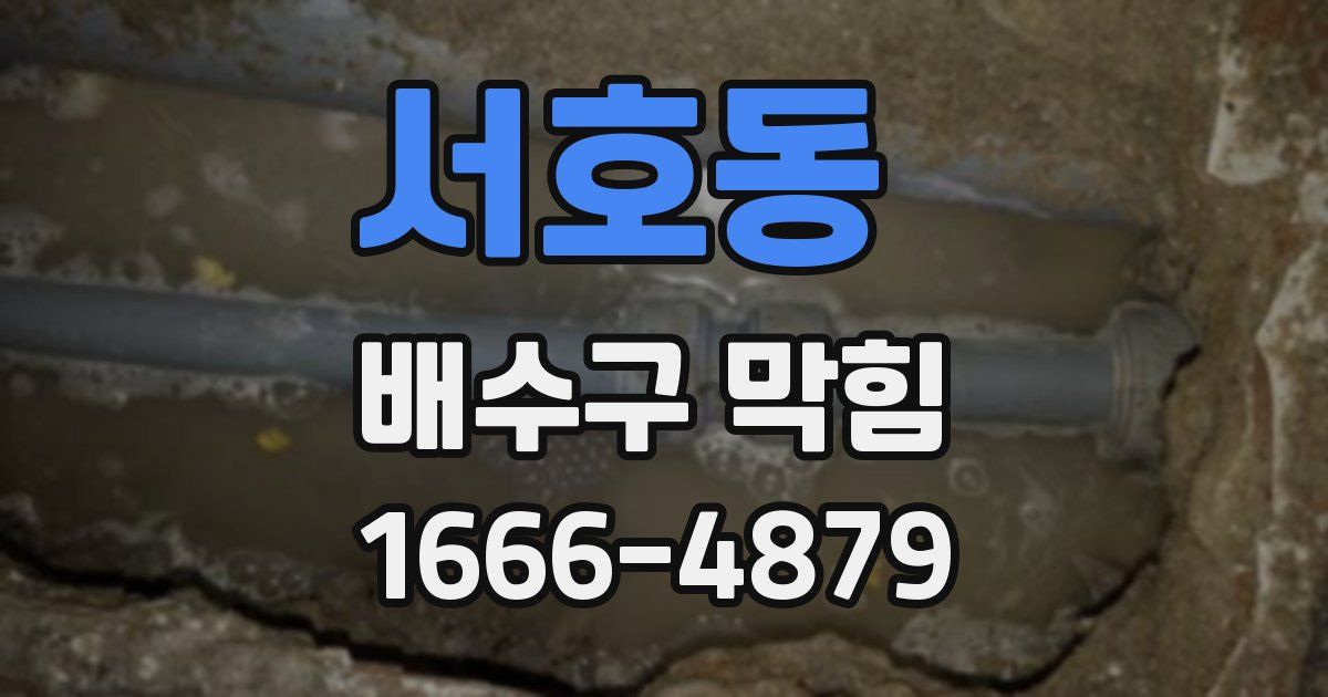 서호동 배수구 막힘