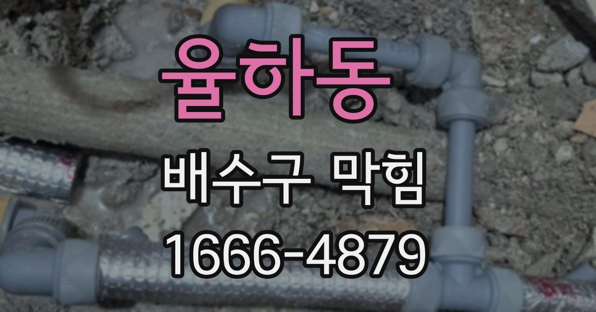 율하동 배수구 막힘