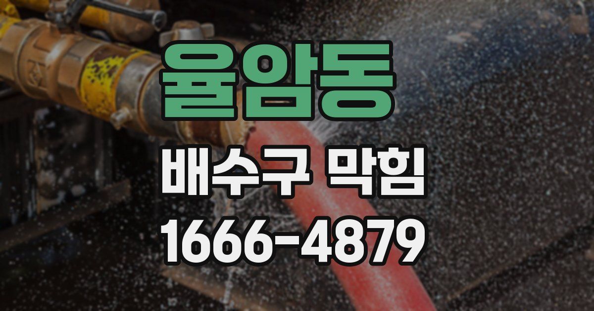 율암동 배수구 막힘