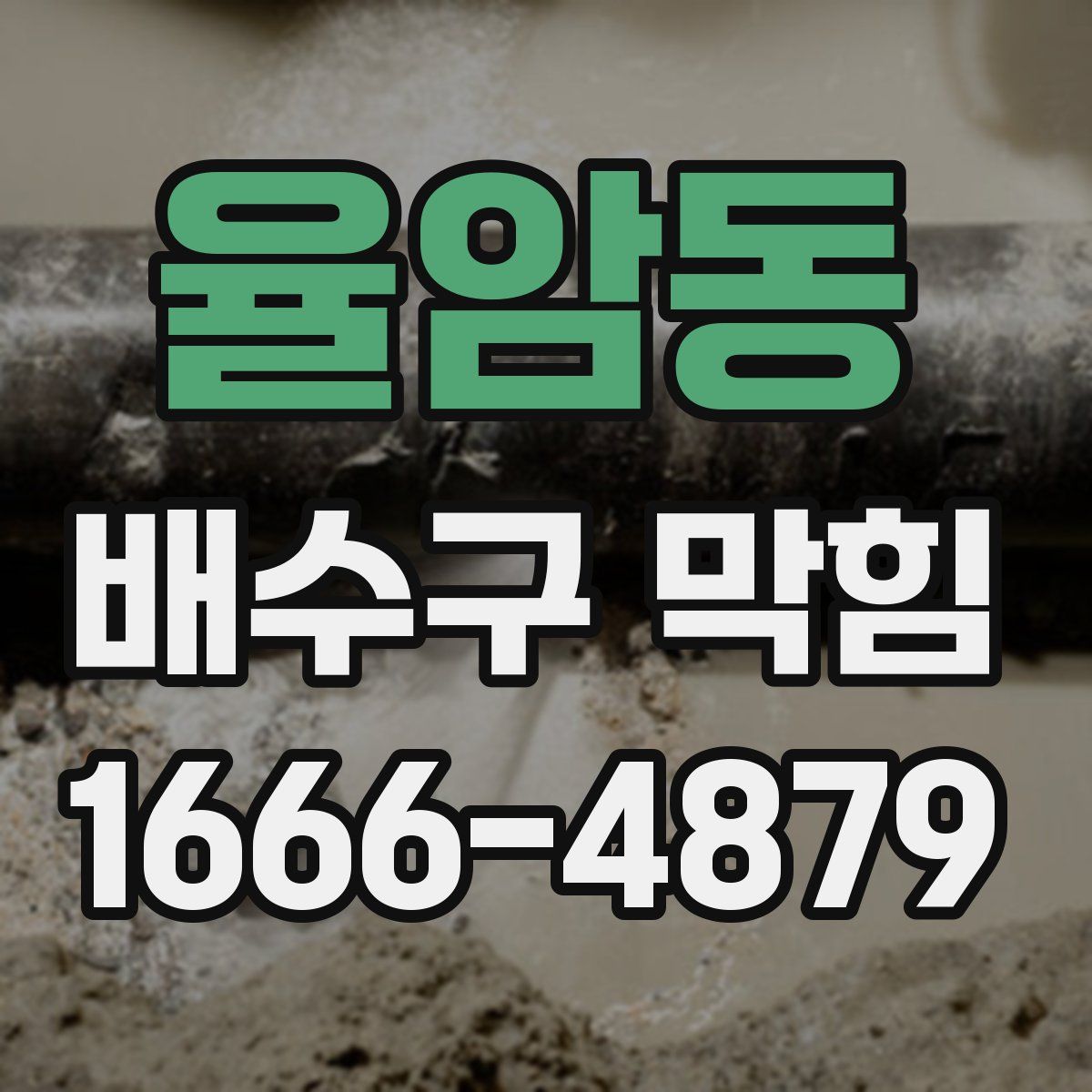 율암동 배수구 막힘