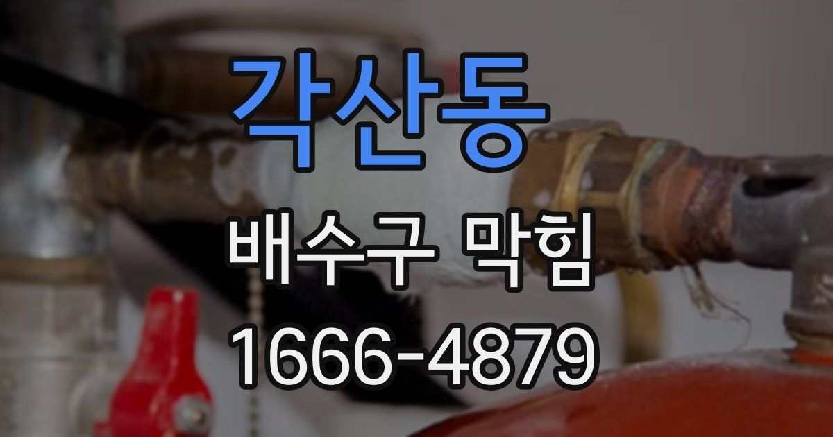각산동 배수구 막힘
